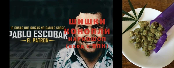 индика Богородицк