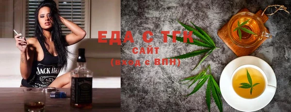 индика Богородицк
