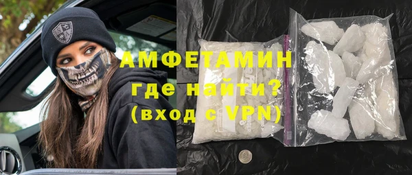 индика Богородицк