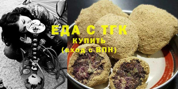индика Богородицк