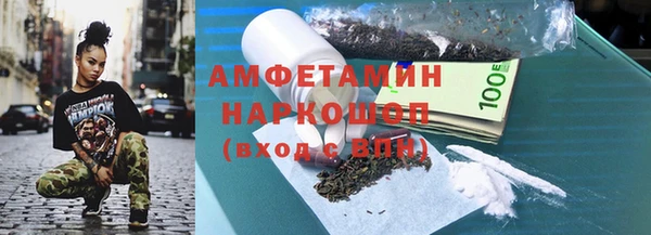 индика Богородицк