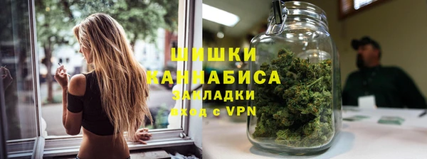 прущие грибы Балабаново