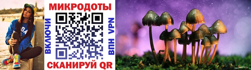 Купить  Жуковка  Галлюциногенные грибы прущие грибы 